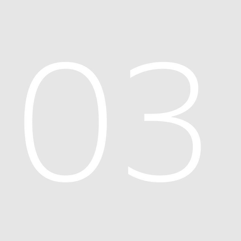 fff&text=03