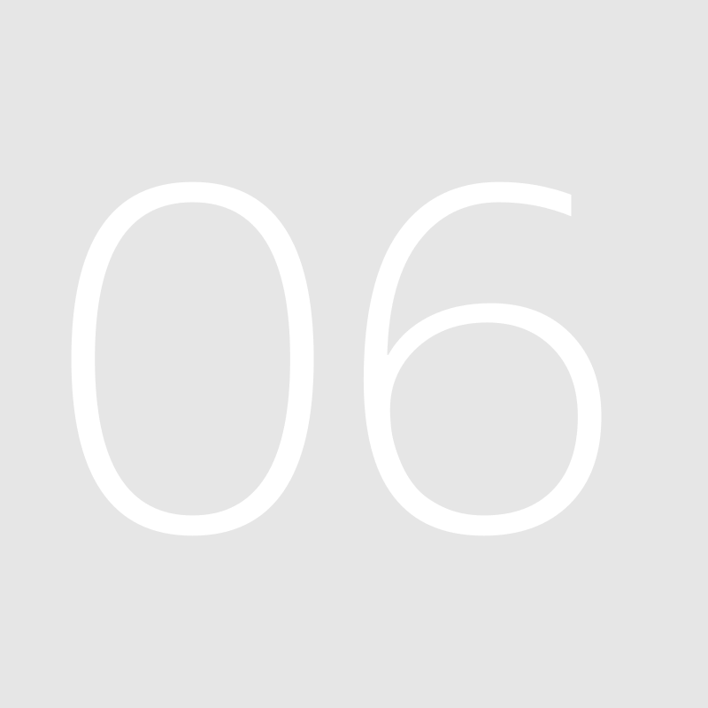 fff&text=06