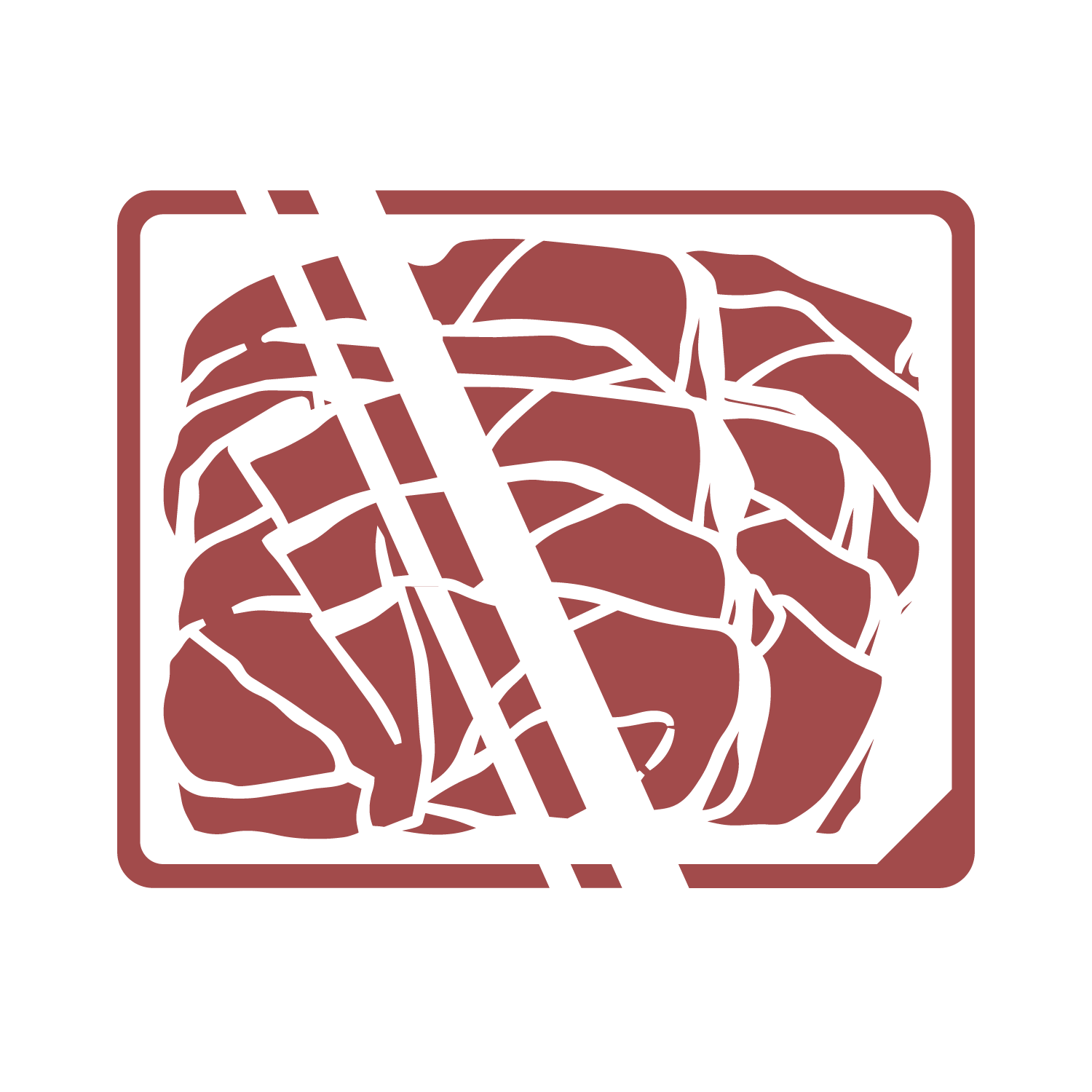 VIANI prosciutto vaschetta