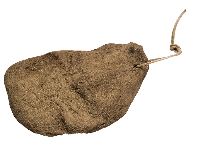 spalla stagionata dissossata