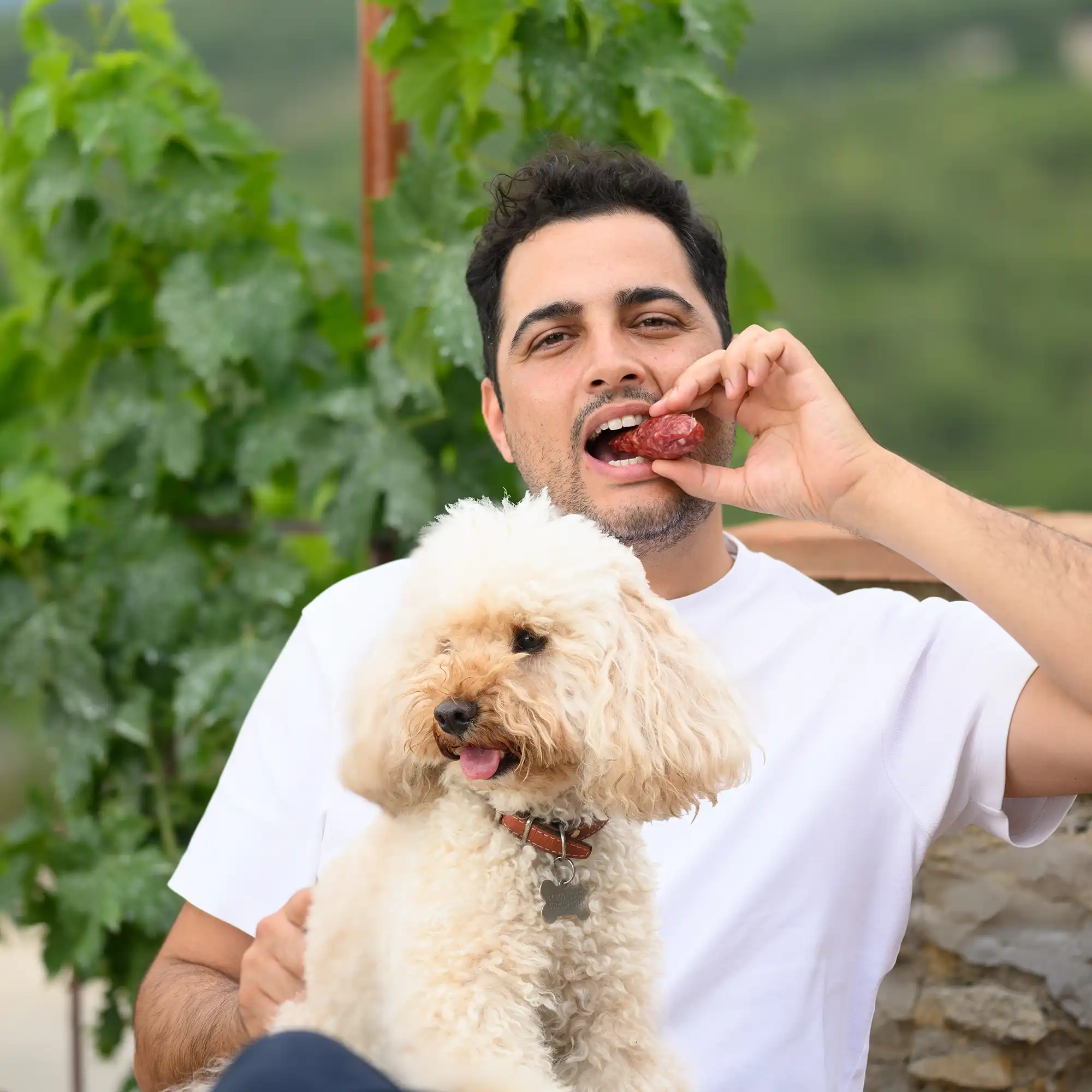 Salami Viani